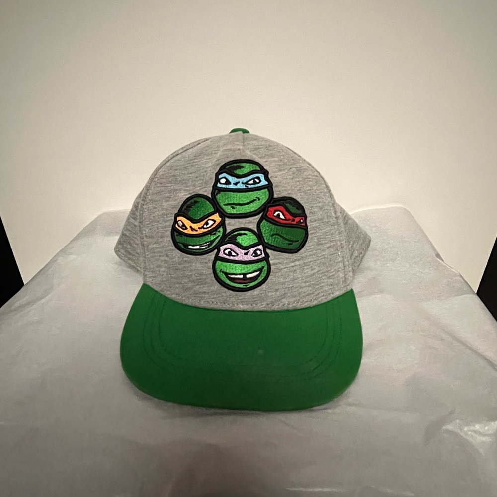 Nickelodeon Ninja Turtles Gray and Green Hat